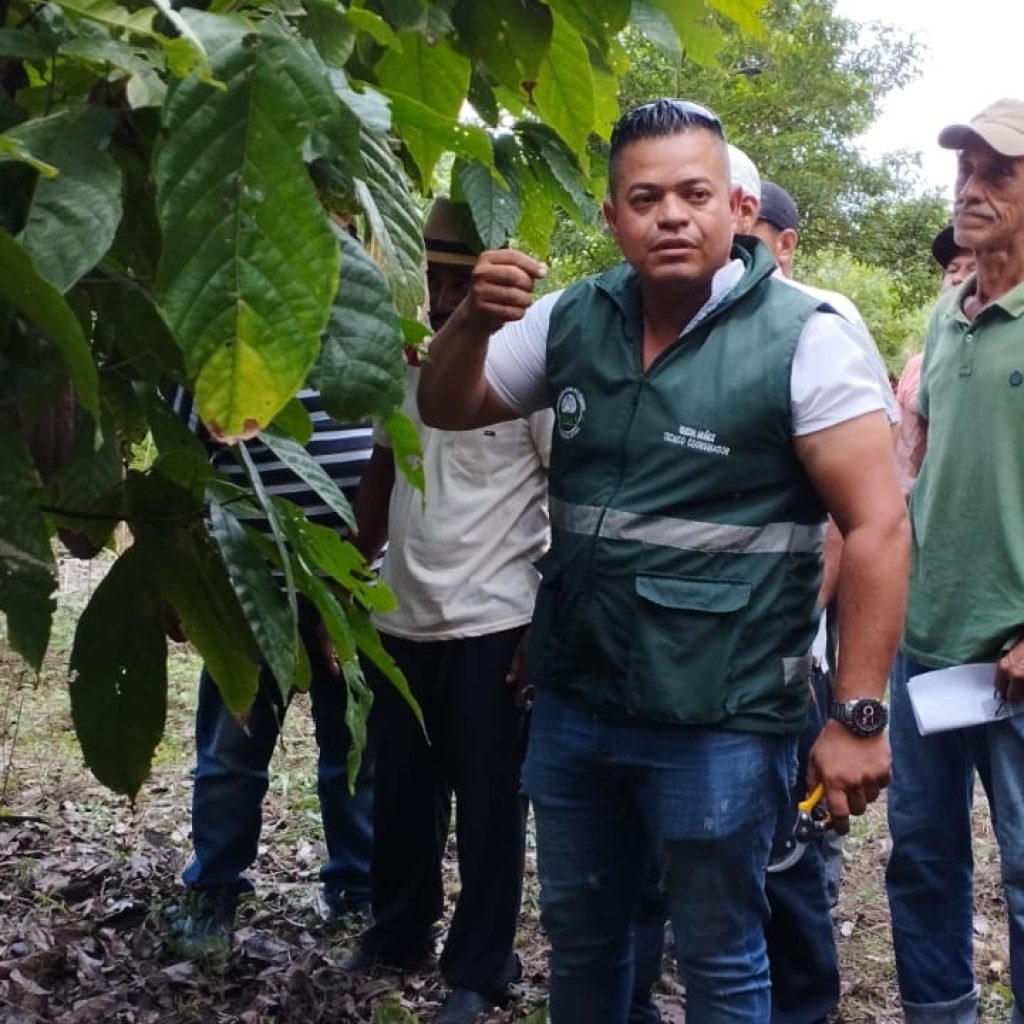 Capacitación de Poda con grupo de productores